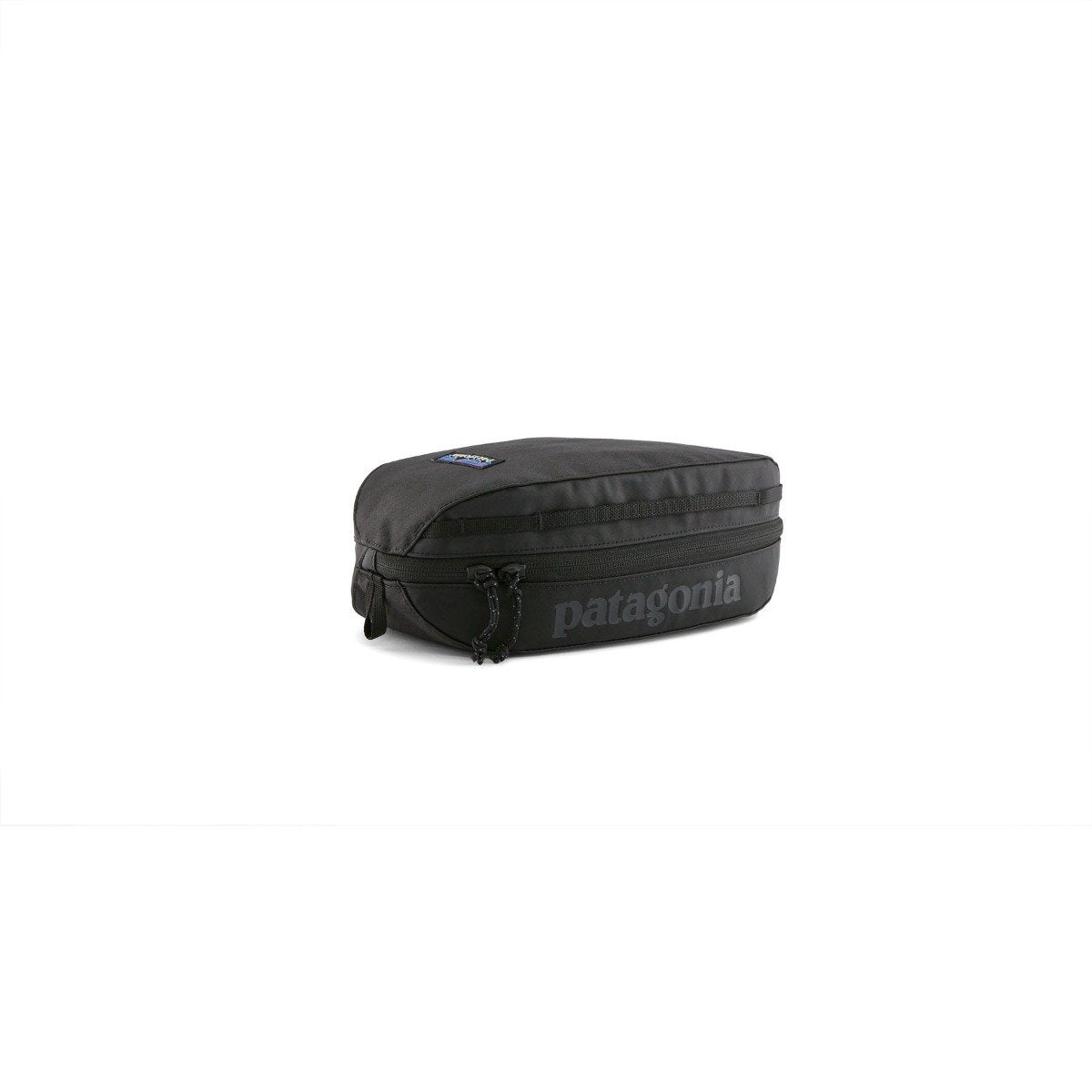 Patagonia Black Hole 3L Packing Cube in Black
