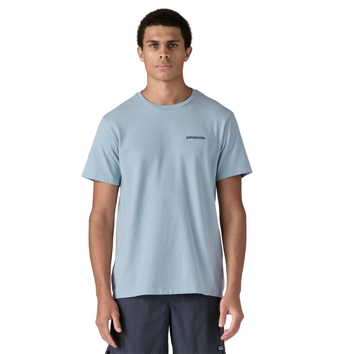 Patagonia Fitz Roy Icon Men's Responsibili-Tee - Fleck Blue