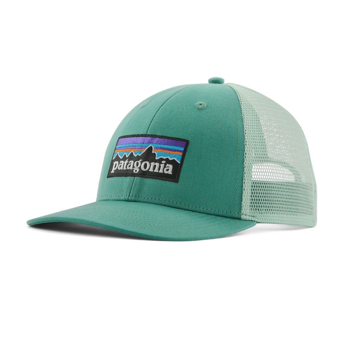 Patagonia P-6 Logo LoPro Trucker Hat in Heartleaf Green