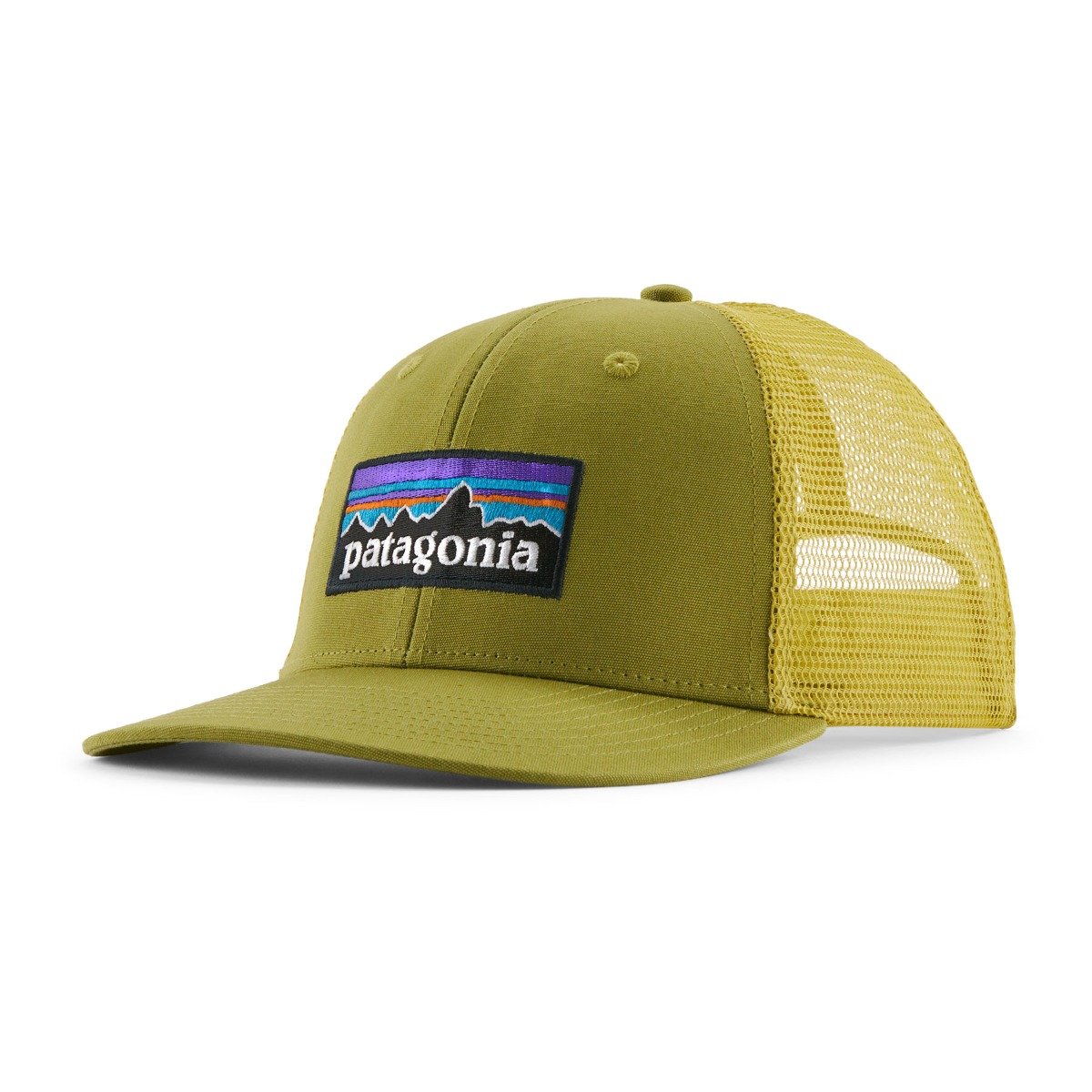 Patagonia P-6 Logo Trucker Hat in Graze Green